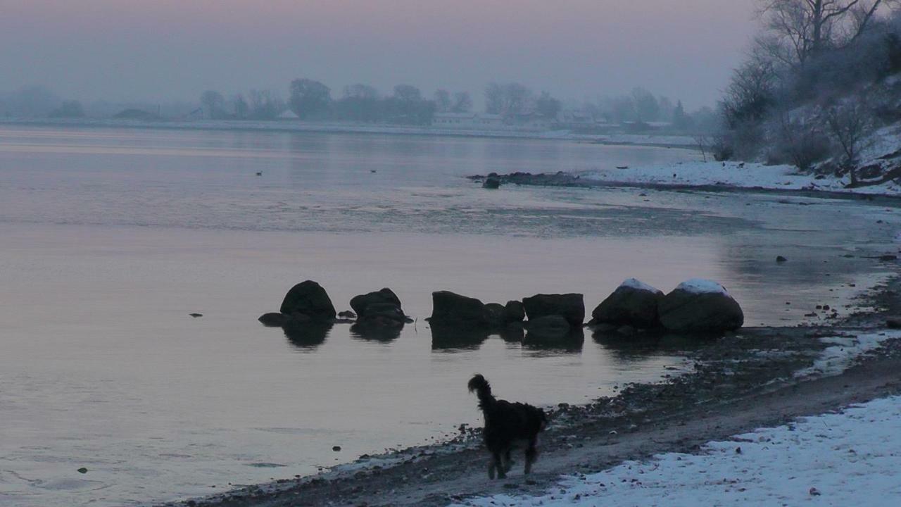 Zirkuswagen Nahe Ostsee Und Schlei Wagersrott Kültér fotó